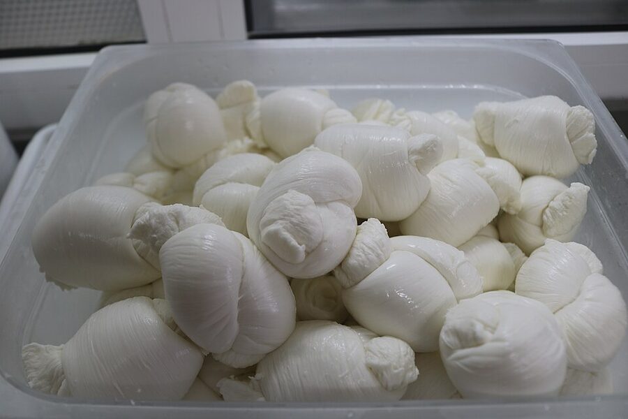 Mozzarella fior di latte for Neapolitan pizza