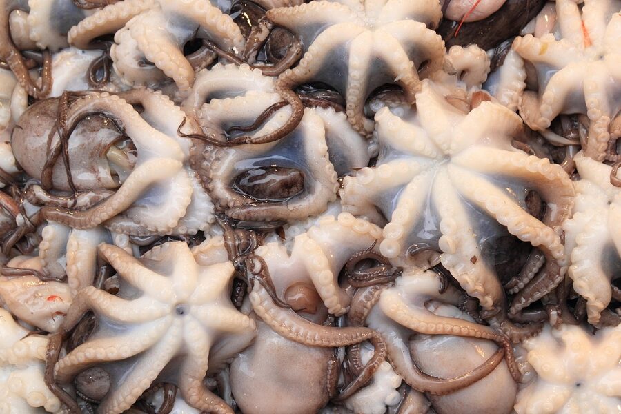 Naples seafood vendor at market with octopus on display