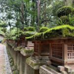Nara: Deer, Temples, and Hidden Lanes Tour - Authentic Insights from Reviews