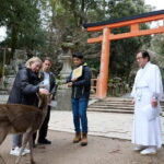 Nara: Kasuga Taisha, Sacred Deer Shrine Guided Tour - Who Will Love This Tour?