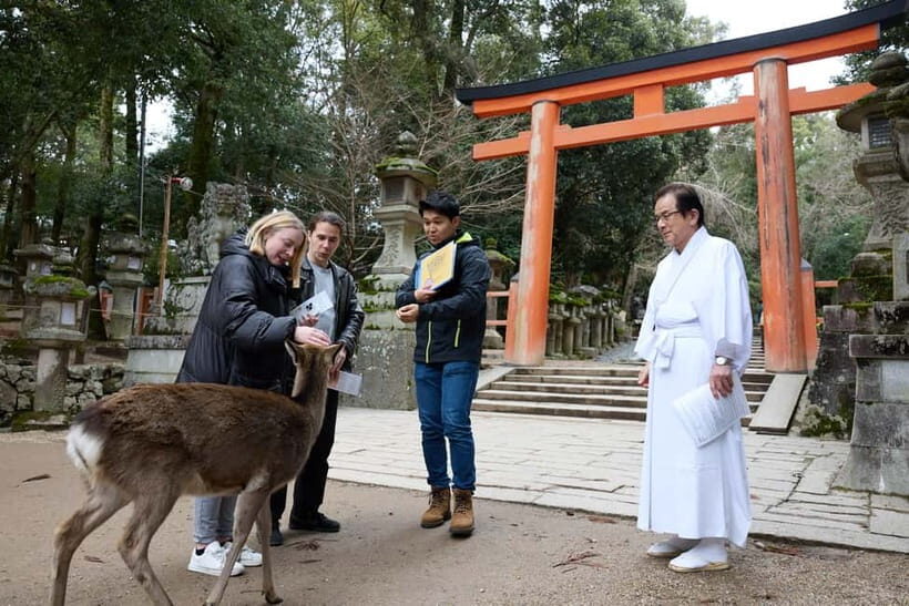 Nara: Kasuga Taisha, Sacred Deer Shrine Guided Tour - Who Will Love This Tour?