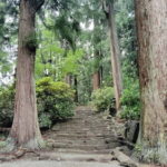 Nara: Muro-ji Temple  Serenity, Tradition and Sacred Beauty - Exploring Muro-ji: A Journey Through Time and Nature