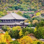 Nara Revealed: Ancient Temples, Sacred Deer & Local Stories - A Closer Look at What to Expect