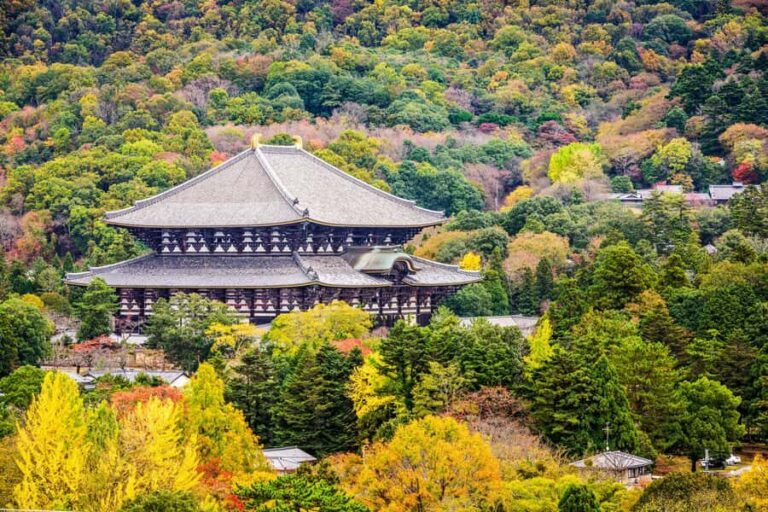 Nara Revealed: Ancient Temples, Sacred Deer & Local Stories - A Closer Look at What to Expect