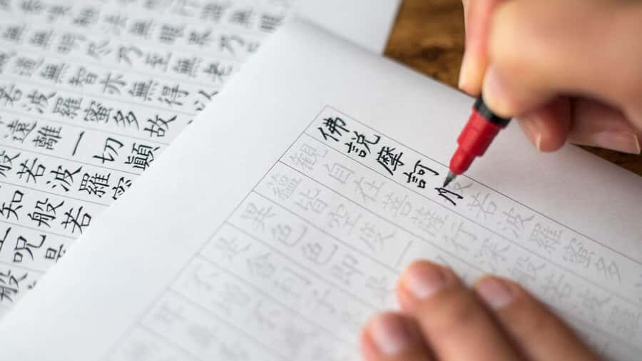 Nara: Temple-Shrine Walking Tour+Zen Calligraphy Experience - Why This Tour Works