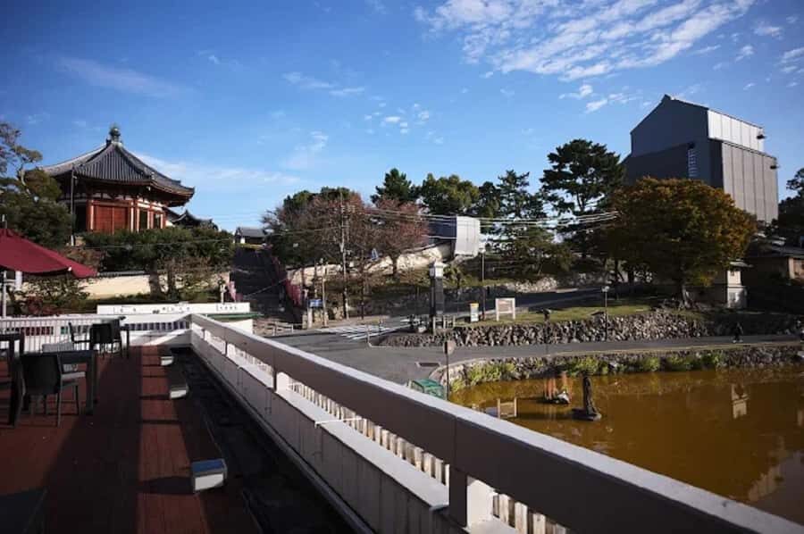 Nara & Uji Private Day Tour - Kyoto Comfort Culture Focused - Who This Tour Is Best For