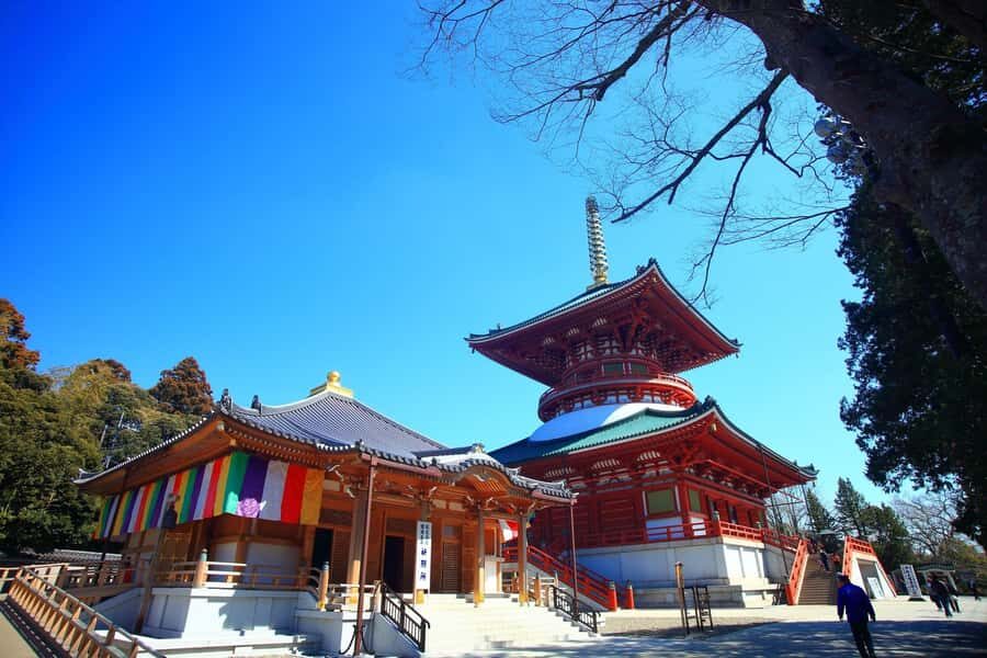 Narita: Shinshoji Temple Highlights Walk & Peace Pagoda - Who Will Gain the Most?