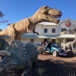 National Dinosaur Museum - Entry Ticket - Practical details: what to know before you visit