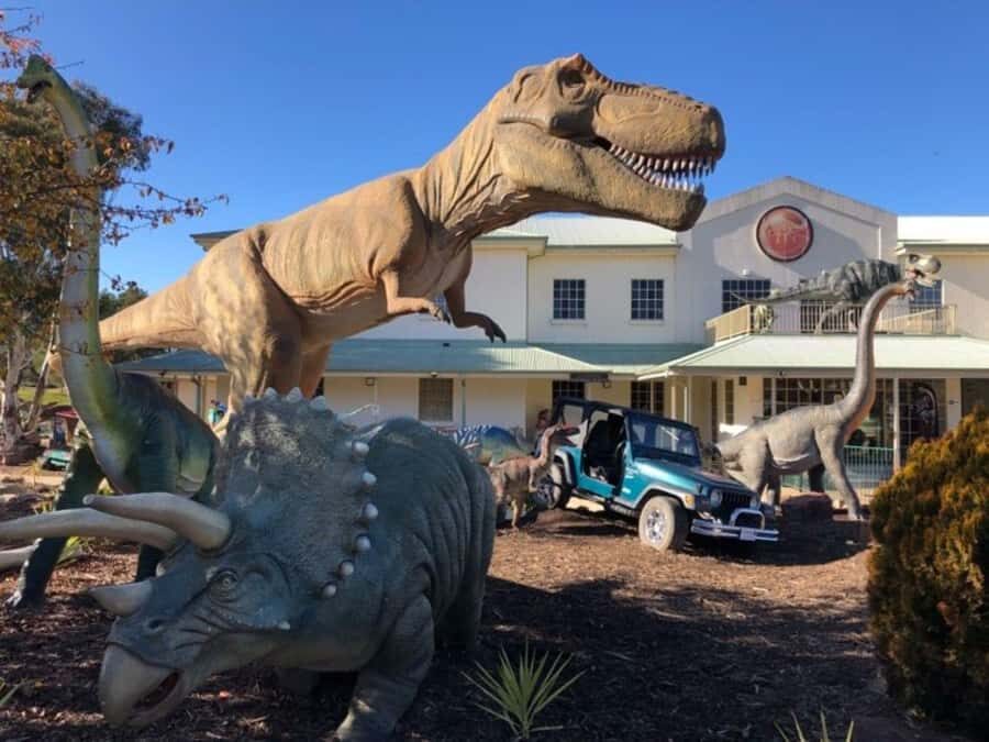 National Dinosaur Museum - Entry Ticket - Practical details: what to know before you visit