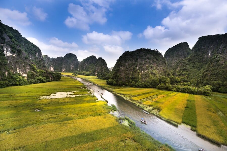 Tranquil river winding through lush green rice fields and towering karsts in Ninh Binh