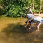 Near Darwin Territory Wildlife Park General Entry - Who Should Consider Visiting?