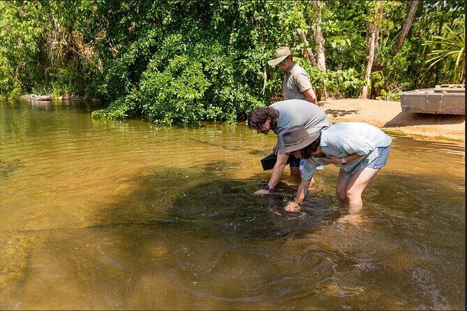 Near Darwin Territory Wildlife Park General Entry - Who Should Consider Visiting?