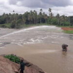 Negombo: Kandy and Pinnawala Elephant Orphanage Day Tour - Value and Practical Insights