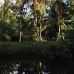 Negombo Lagoon & Muthurjawela Bird Watching Boat Tour - Meeting Points and Practicalities