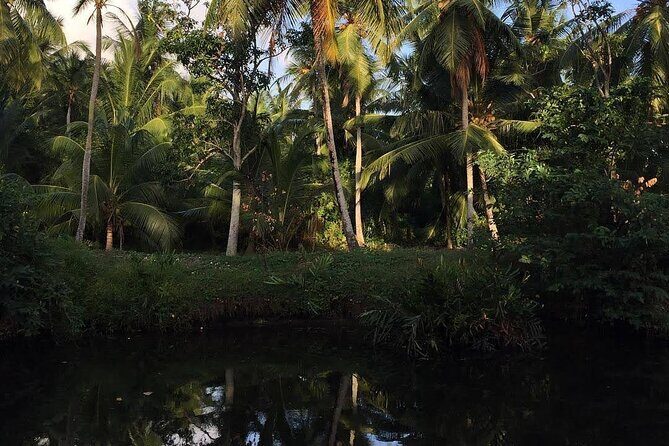 Negombo Lagoon & Muthurjawela Bird Watching Boat Tour - Meeting Points and Practicalities
