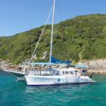 Nelson Bay: Marine Discovery Cruise with Snorkeling - Practical Details and Tips