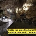 New Zealand: Starburst Cathedral in Milky Way Glowworm Cave - Evaluating the Value
