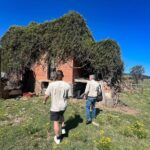 Newcastle: Country Towns River & Farm Tour with BBQ - Transport, Timing, and Group Dynamics