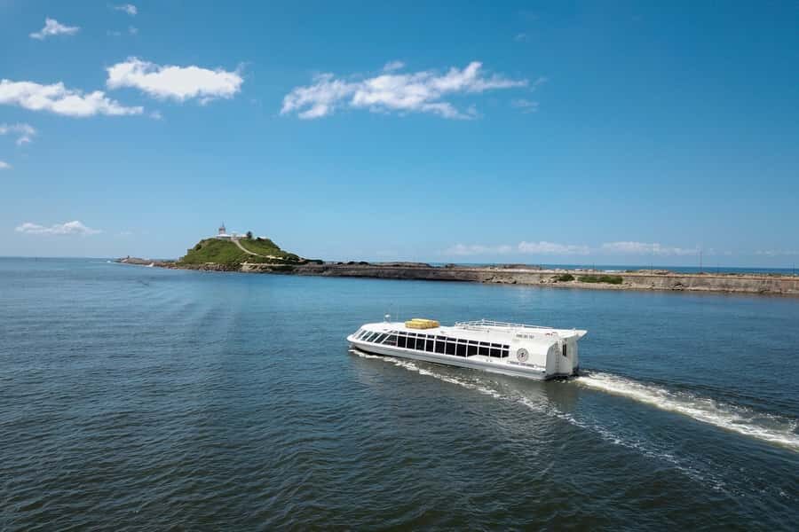 Newcastle: Harbour Cruise with Buffet Lunch - Who Will Enjoy This Experience?