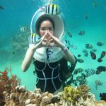 Nha Trang Bay Underwater Walk and Vietnamese Seafood Delight - The Experience: What You Can Expect