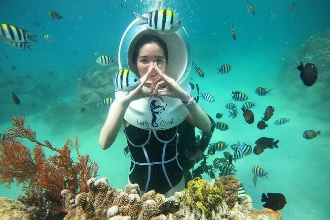 Nha Trang Bay Underwater Walk and Vietnamese Seafood Delight - The Experience: What You Can Expect