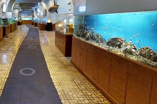 Nha Trang Half Day Tour: Best Highlights & Secret Spots - Final Thoughts: Who Will Love This Tour?