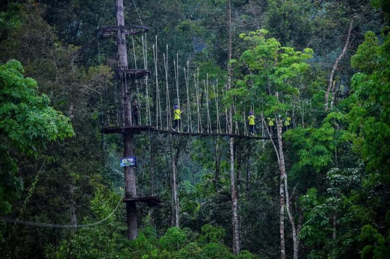 Nha Trang: Zipline Canopy at Kong Forest - What to Expect: The Details of Your Jungle Flight