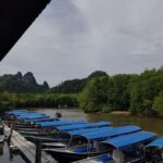 Night Safari Mangrove Tour with Guide & BBQ Buffet - A Detailed Look at the Tour Experience