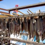 Niigata: Japanese Seafood Culture & Local Market Walk - Practicalities and What to Expect