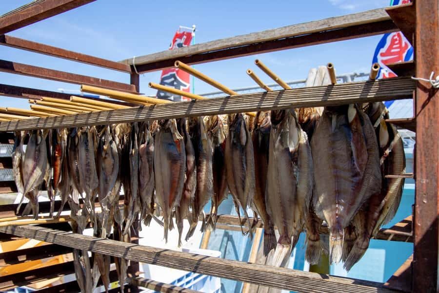 Niigata: Japanese Seafood Culture & Local Market Walk - Practicalities and What to Expect