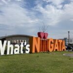 Niigata: Japanese Seafood Culture & Local Market Walk - Why This Tour Is a Great Value