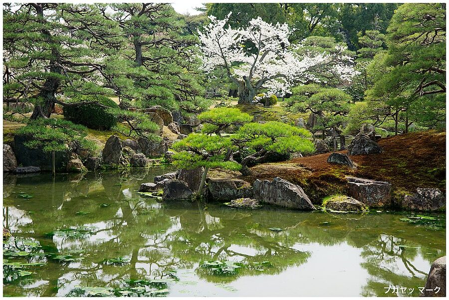Nijo Castle Garden with pond surrounded by lush greenery