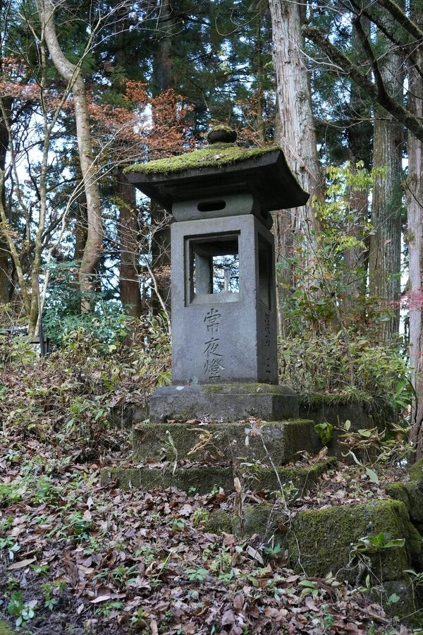 Ancient moss-covered stone lantern in a Nikko forest