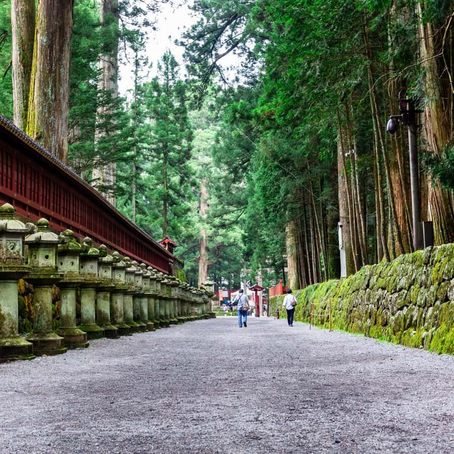 Nikko Unesco World Heritage Private Full Day Tour With Guide - Final Thoughts