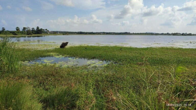 Nilaveli: Crocodile Lake with Lagoon Boat Safari - Authentic Experiences and Traveler Tips