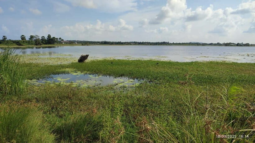 Nilaveli: Crocodile Lake with Lagoon Boat Safari - Authentic Experiences and Traveler Tips