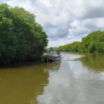 Nilaveli: Lagoon Boat Safari with Mangrove Exploration - Who Will Love This Tour?