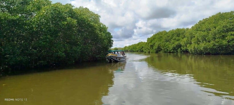 Nilaveli: Lagoon Boat Safari with Mangrove Exploration - Who Will Love This Tour?