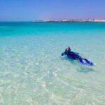 Ningaloo In A Full day Hike and Snorkel Tour - Authentic Insights from Past Travelers