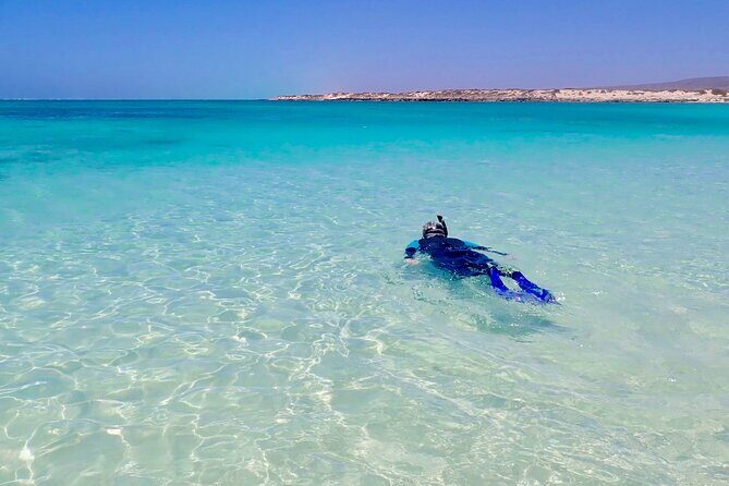 Ningaloo In A Full day Hike and Snorkel Tour - Authentic Insights from Past Travelers