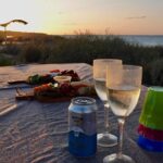 Ningaloo Turtle Watching and Stargazing Tour - The Value and Who Will Love This Tour