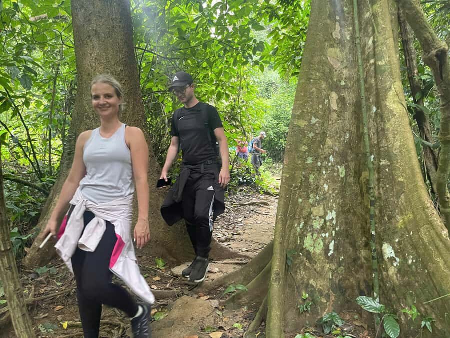 Ninh Binh: CUC PHUONG Park Jungle Hike Day Tour, SMALL GROUP - A Detailed Breakdown of Your Day