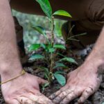 Ninh Binh: Dundj Valley Tree Planting & Nature Experience - Why We Think This Tour Offers Excellent Value