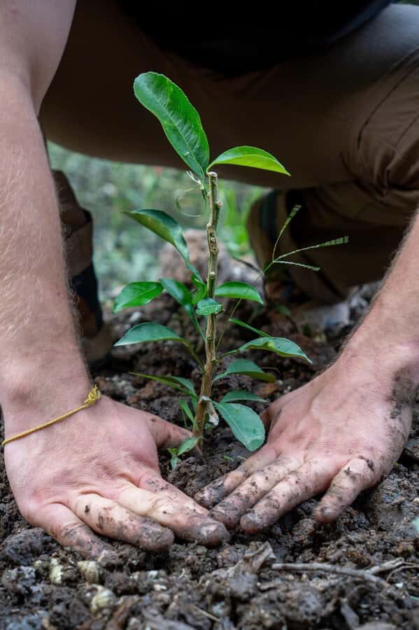 Ninh Binh: Dundj Valley Tree Planting & Nature Experience - Why We Think This Tour Offers Excellent Value