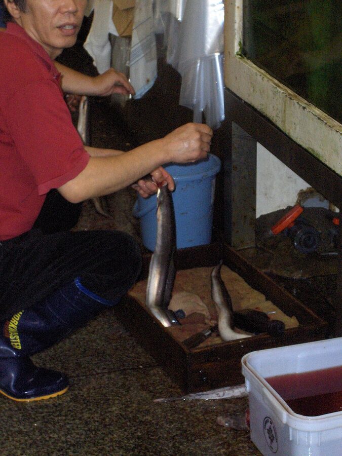 Unagi eel master at work in Nishiki Market Kyoto