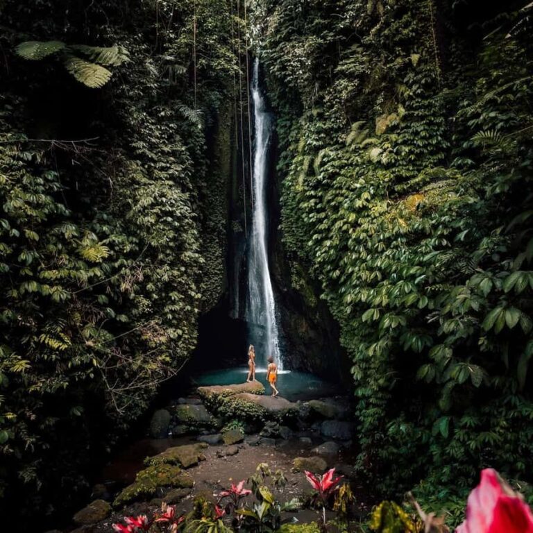 North Bali: Monkey Forest -Waterfall- Rice Terrace-Ulun Danu - A Closer Look at the Itinerary
