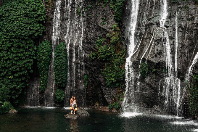 North Bali Sekumpul and Banyumala Waterfalls with Rice Terraces - Who Is This Tour Best Suited For?
