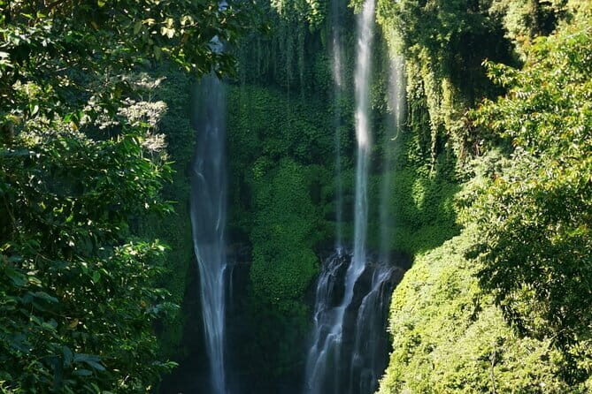 North Bali Sekumpul Waterfall, Banyumala Waterfall & Temple Tour - Who Is This Tour Perfect For?