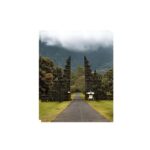 North Bali: Walking on the expanse of jati luwih rice fields - What’s included and what to consider