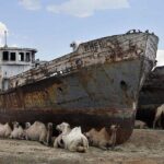 Nukus Private Transfer with Aral Sea View - Why the Price Reflects Value